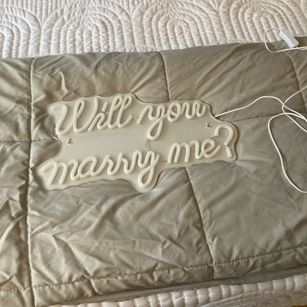 Will You Marry Me? Neon proposal sign